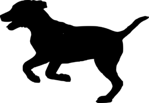silhouet2